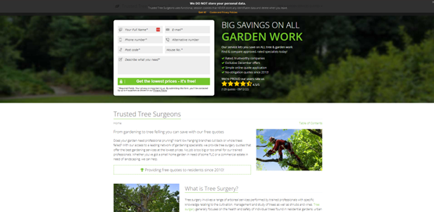 Trusted Tree Surgeons Landing Page